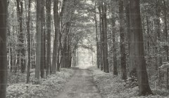 Tubadzin dekorkép Tubadzin All in white 1 dekorkép