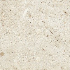 tubadzinartedomino2024januarr_16